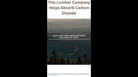 This Lumber Company Helps Absorb Carbon Dioxide