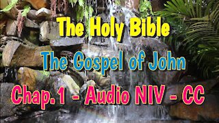 The Holy Bible - The Gospel of John - Chapter 1 (Audio Bible NIV)