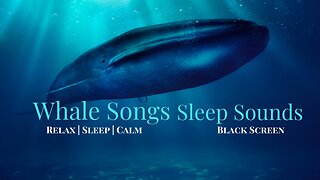 Whale Songs for Sleep | relax, meditate, focus | 1 hour