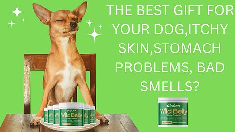 Find The Cure To Your Dog's Itchy Skin, Bad Breath, Stomach Problems!