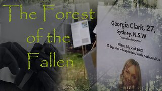 The Forest of the Fallen