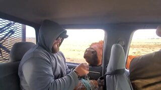 Rancher Feeds Cow Like a Baby Bird