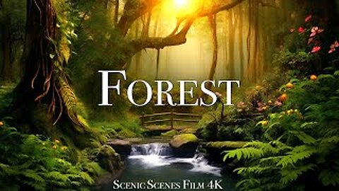 Forest 4K - The Healing Power Of Nature Sounds Forest Sounds Scenic