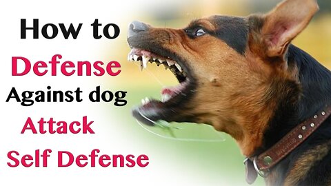 How to defend against a dog attack