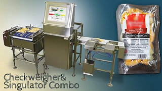 Dynamic In Motion Checkweigher with Product Singulator & Diverts