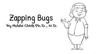 Zapping Bugs