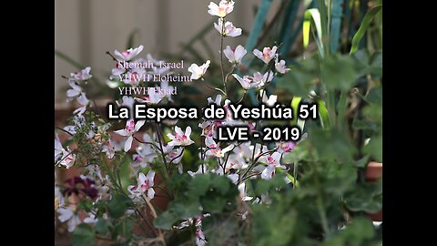 La Esposa de Yeshúa 51 - YHWH Ekjad 30