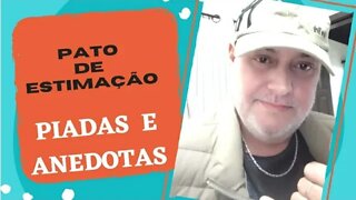 PIADAS E ANEDOTAS - PATO DE ESTIMAÇÃO - #shorts