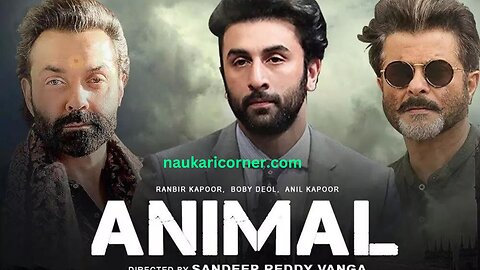 Jamal jamaloo song animal movie best song