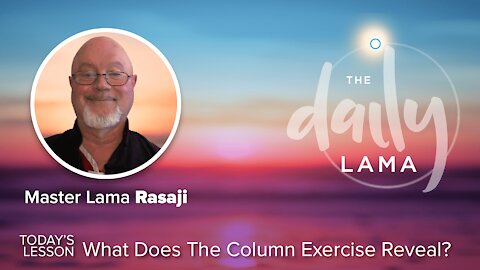 What Does The Column Exercise Reveal?