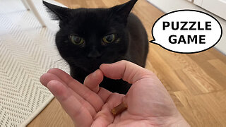 Vilma Cat Solves a Hand Puzzle