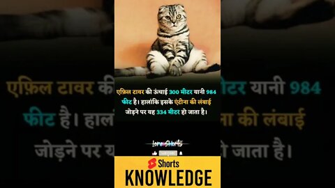 Motivational Quotes Intresting Facts lifestyle & research #shorts #ytshorts #knowledge #motivation