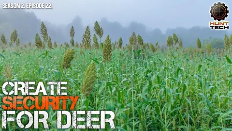 Food Plot Screening to Funnel Deer and Create Security