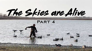 Found a HUGE SNOW FEED and afternoon DUCK SHOOT - Waterfowl Hunting CANADA - The Skies are Alive P.4