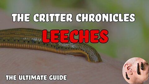 The Critter Chronicles | Leeches