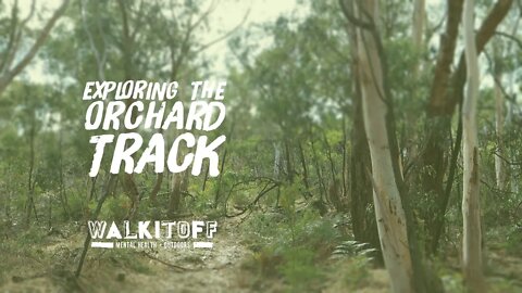 Exploring the Orchard Track