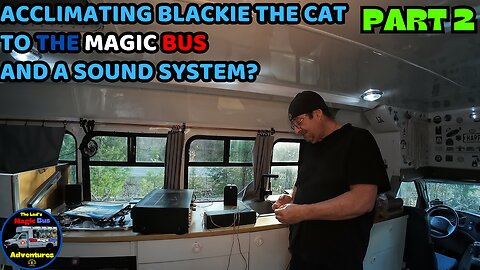 Acclimating Blackie The Cat To The Magic Bus, And A Sound System Part 2