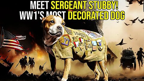 Sergeant Stubby - The Incredible Story of a Canine Hero