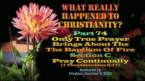 Fred Zurcher on What Really Happened to Christianity pt74