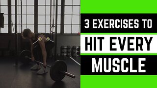 The ONLY 3 Exercises You Need to Hit EVERY Muscle in Your Body