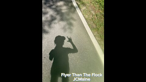JCMaine-Flyer than the Flock (visualizer)