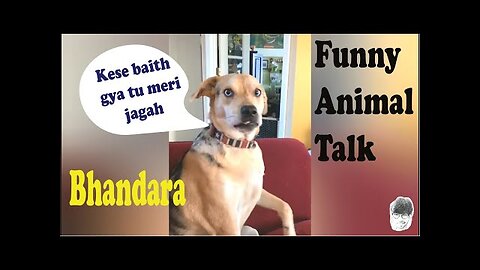 Bhandara _ Funny Animal Talk _ Hindi