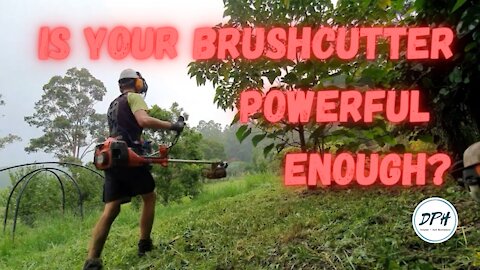 That Ain't a Brushcutter...This is a BRUSHCUTTER!
