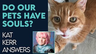 Kat Kerr: Do Our Pets Have Souls? | Dec 14 2022