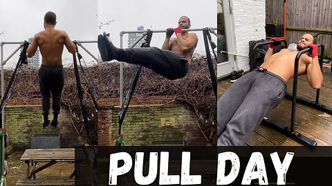 Calisthenics pull day workout back and biceps