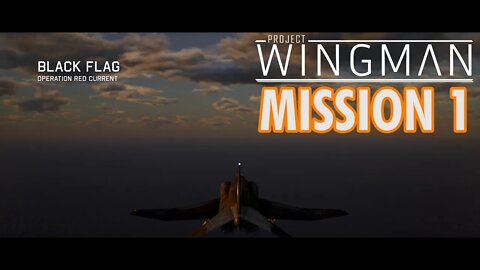 Project Wingman Playthrough | Mission 1: Black Flag