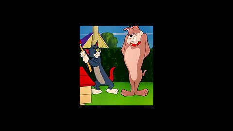 Tom and Jerry new funny video just new