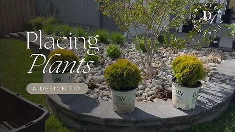Watch this for a quick landscape design tip!