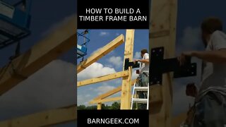 HOW TO BUILD A TIMBER FRAME BARN #short #timberframe