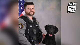 South Carolina cop shot and killed while responding to domestic disturbance