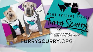 Denver Dumb Friends League Furry Scurry