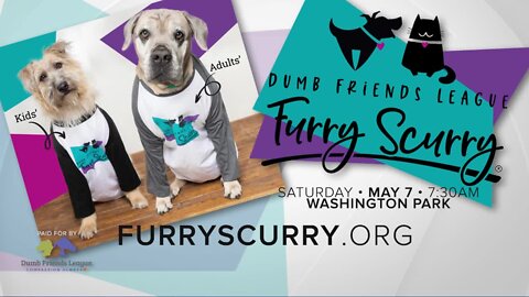 Denver Dumb Friends League Furry Scurry