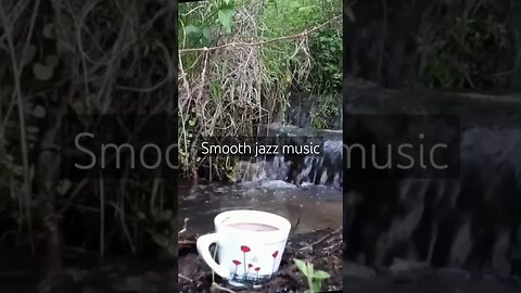 Smooth jazz drums bass keyboard with nature ambience river sounds #jazzbossa #jazz #relaxingmusic