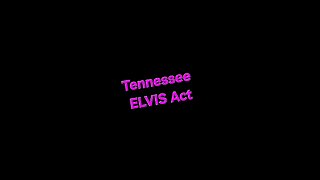 the ELVIS Act