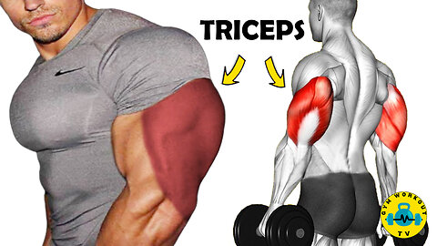 The 6 Strongest Exercises for Triceps in The Gym