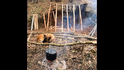 Build bushcraft shelter and camping part:3