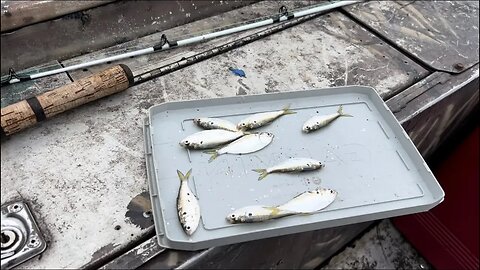 Catfishing the Arkansas River…love days like this!!!!