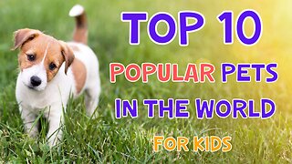 Top 10 Most popular Pets In The World | For Kids | 4K