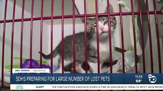 Humane Society prepares for large number of lost pets
