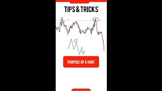 Forex Liquidity Secret Tips