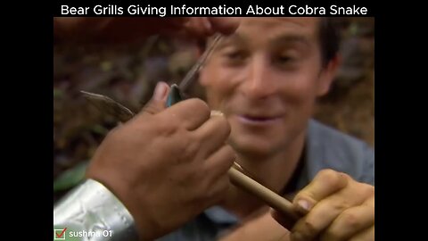 #manVswild#beargrylls#hunting#eating