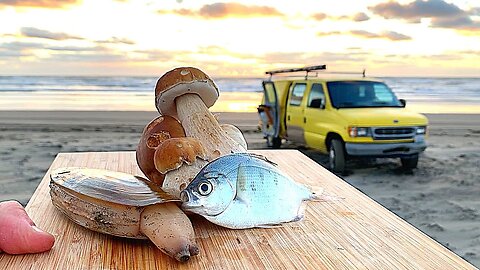 COASTAL SURVIVAL: Fishing, Clams, WILD MUSHROOMS (Catch & Cook)