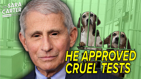 Dr. Fauci Used Tax Dollars To Fund Animal Testing