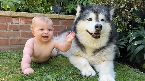 Adorable Baby Boy Crawls For The First Time! (Cutest Ever!!)