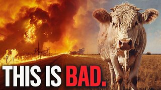 Coincidence? Mysterious Wildfires Destroy Texas Beef Industry