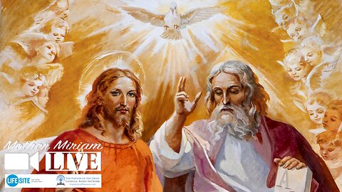 Mystery of the Trinity: The three divine persons existed from the beginning